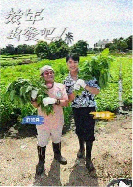 广州影视台真情追踪行业观察综艺剪辑配图